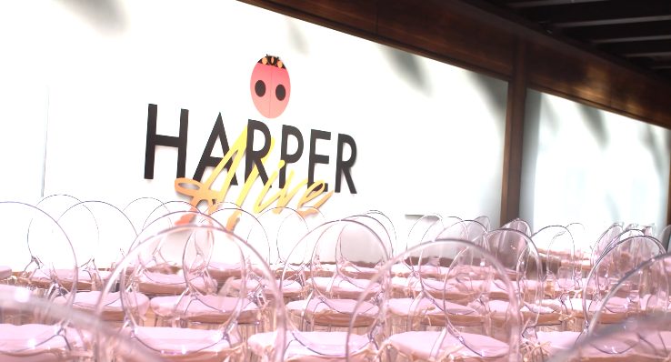 Harper Artwork Comes Alive At Blink Cincinnati With New Immersive Experience