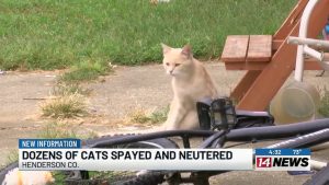 Henderson Animal Control Traps Spays And Releases Abandoned Cats