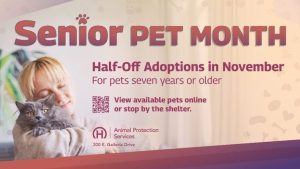 Henderson Animal Protection Cuts Senior Pet Adoption Fees By 50 For November Sen