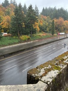 Highway 26 Closed Near Oregon Zoo After Trees Fell On Power Lines