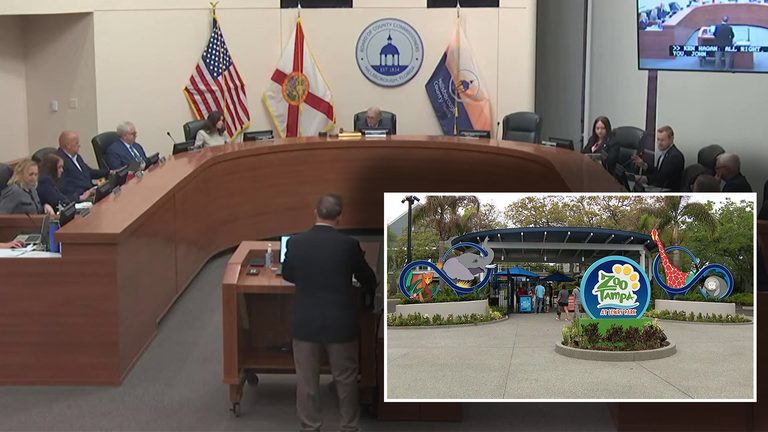 Hillsborough County Approves 75 Million Boost For Zootampa Expansion