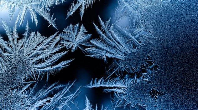 Hillsborough County Approves All Eight Cold Weather Shelter Proposals For 2027