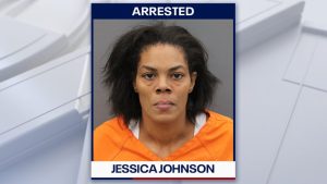 Hillsborough County Deputies Arrest Tampa Woman After Stolen Car Chase And Patro
