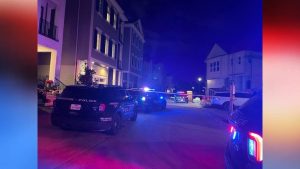 Houston Mother Fatally Shoots 4 Year Old Daughter After Custody Ruling