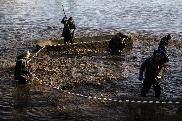 Hungary Redirects Fish Farm Water To Irrigate Drought Stricken Farms And Parks