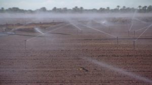Illegal Dumping Near Yuma Farms Forces Buffer Zones Threatens Food Safety