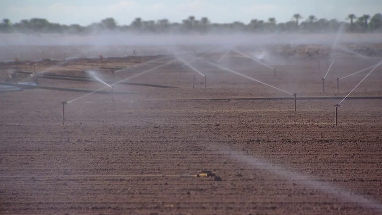 Illegal Dumping Near Yuma Farms Forces Buffer Zones Threatens Food Safety