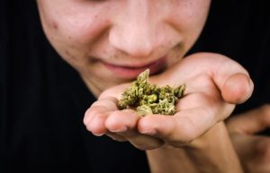 Illinois Cannabis Market Shows Strong Demand Despite Revenue Dip Officials Say