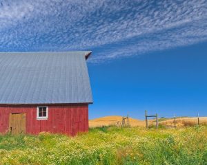 Indiana Farm Bureau Calls For Statewide Reform Of Agricultural Building Assessme