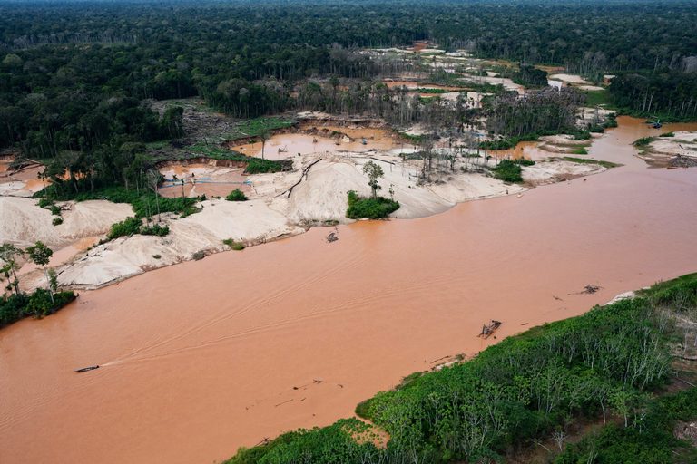 Interpol Operation Cracks Down On Illegal Mining Logging And Wildlife Traffickin
