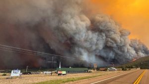 Investigation Finds Tree Contacting Energized Power Lines Sparked Aspen Acres Wi