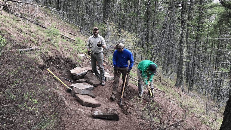 Jackson Forest Service Seeks Input On Four New Non Motorized Snow King Trails