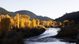 Jackson Hole Candidate Forum Focuses On Water Wildlife And Responsible Developme