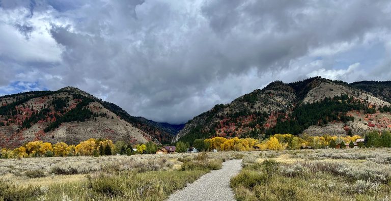 Jackson Hole S Aspen And Cottonwood Trees Light Up Autumn Landscape