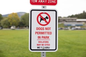 Jackson Town Seeks Resident Input On Future Dog Policies For Public Parks