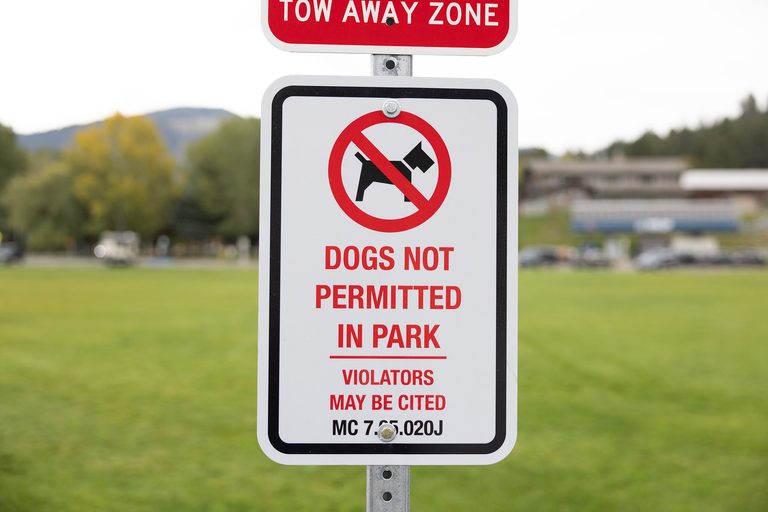 Jackson Town Seeks Resident Input On Future Dog Policies For Public Parks