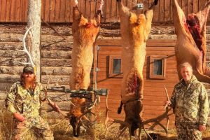 Jerry Cantrell Joins Montana Veterans For First Bull Elk Harvest