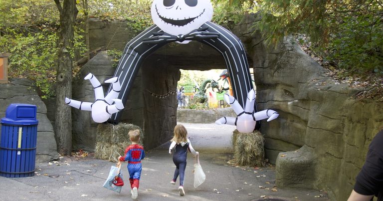 John Ball Zoo Returns Zoo Goes Boo For Halloween Fun Over Three Weekends