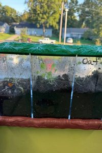 Johnson County Extension Brings Hands On Gardening To Olathe Students