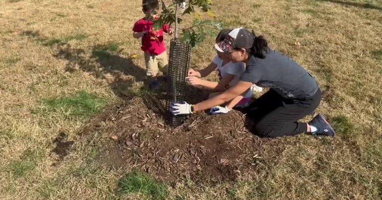 Keep Omaha Beautiful Plants 112 Native Trees In Fontenelle And Adams Parks
