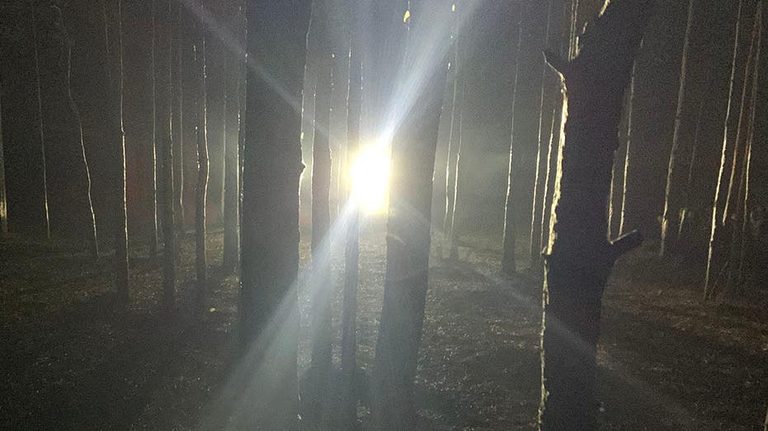 Kentucky Woodsmen Report Late Night Encounter With Mysterious Tall Figure