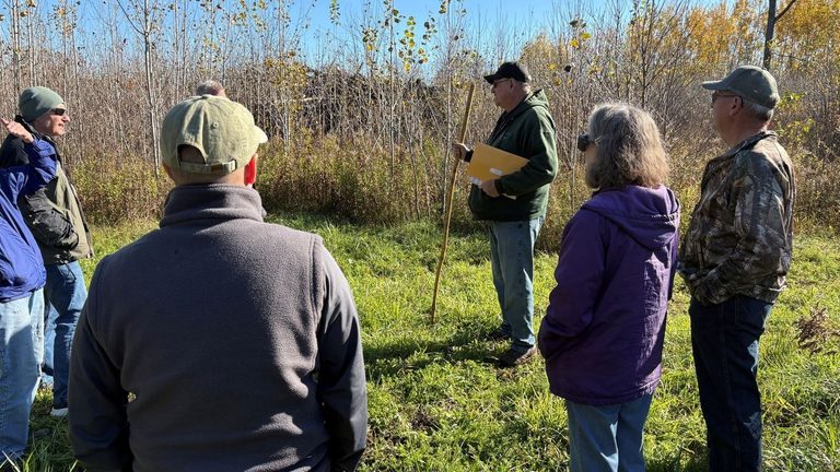 Kewaunee County Tree Farm Trims Ash Protects Aspen During Forest Products Week