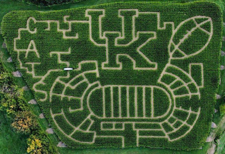 Kidd Family Farm Corn Maze Celebrates University Of Kentucky Fans In Garrard Cou