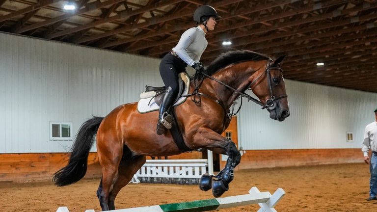 Kimber View Stables In Chester County Grooms Horses For East Coast Jump Competit