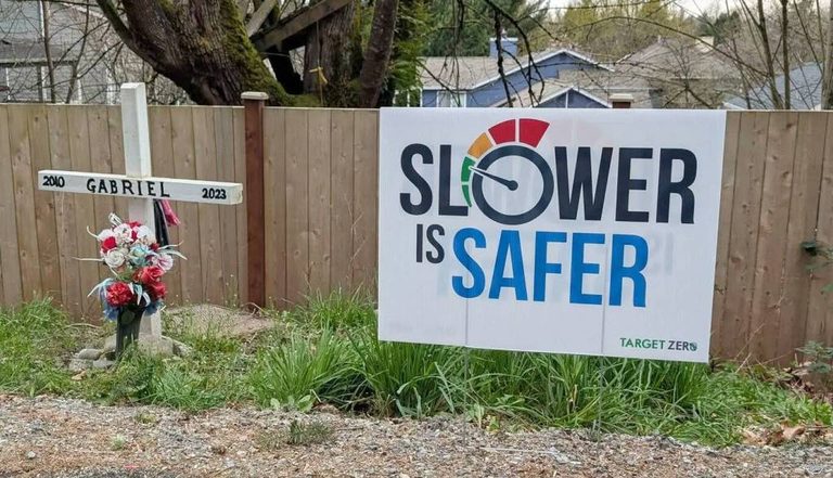 King County Target Zero Grants 40 000 To Expand Multilingual Traffic Safety Prog