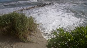 King Tide Drives Water To Seawall Eroding Midtown Beach In Palm Beach