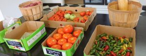 Klein Farmers Market Delays Grand Opening After Facing Unexpected Challenges