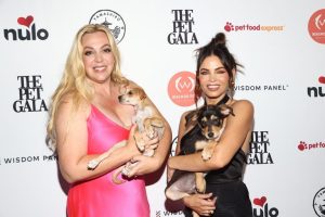 La City Attorney Sues Wagmor Pets Over Alleged Puppy Laundering Scheme