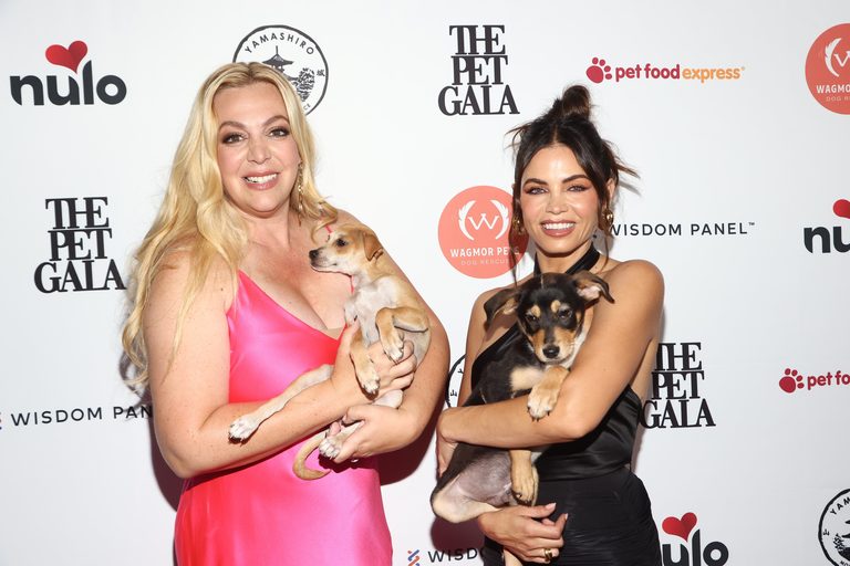 La City Attorney Sues Wagmor Pets Over Alleged Puppy Laundering Scheme