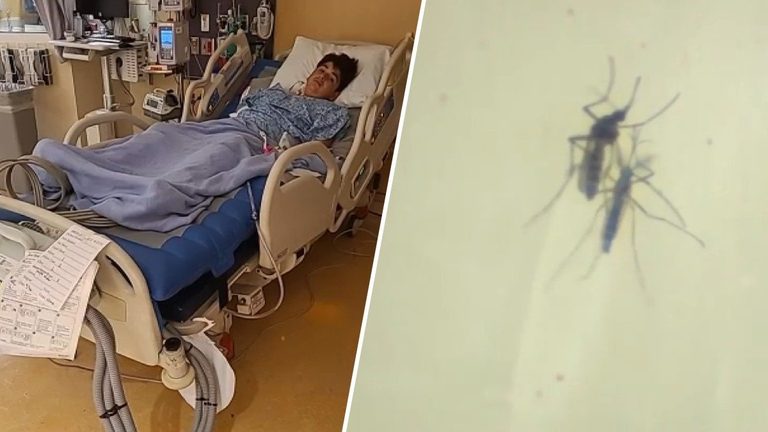 La County Mom Urges Parents To Spot Early West Nile Signs After Son Hospitalized