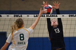 Laguna Blanca Owls Dominate Brea Olinda In Cif Ss Division 7 First Round Sweep