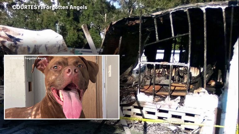 Largo Resident Begins Rebuilding Life After Rv Fire Destroys Home And Dog