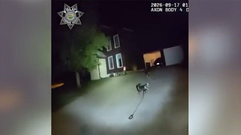 Leawood Police Praise Loyal Dog That Led Officers To Fallen Homeowner