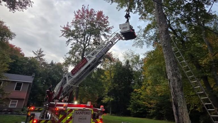 Lebanon And Sanford Fire Crews Rescue Skydiver Stuck In Tree In Southern Maine