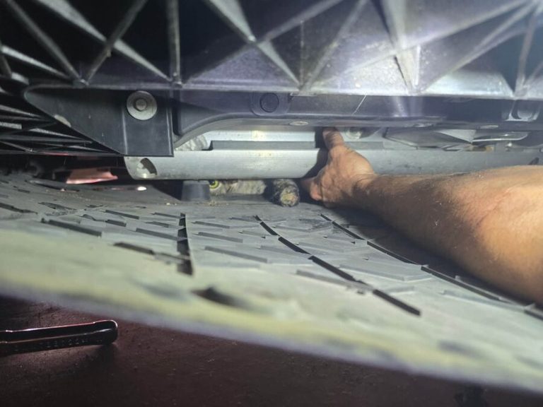 Lewisville Firefighters Rescue Cat Stuck In Tesla Engine Compartment