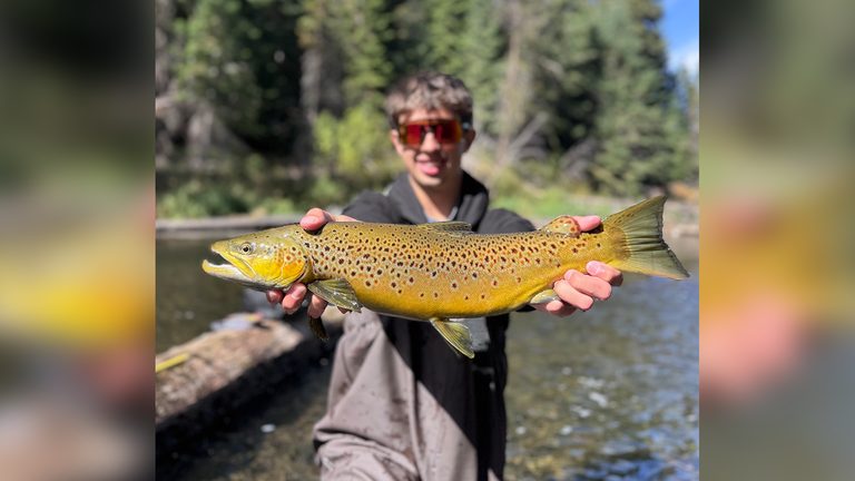 Local Anglers Showcase Impressive Salmon And Trout Catches In Oregon Contest