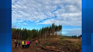 Logger Injured When Equipment Rolls Down Hill In Vernonia