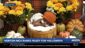 Louisville Nicu Babies Celebrate First Halloween With Volunteer Made Costumes