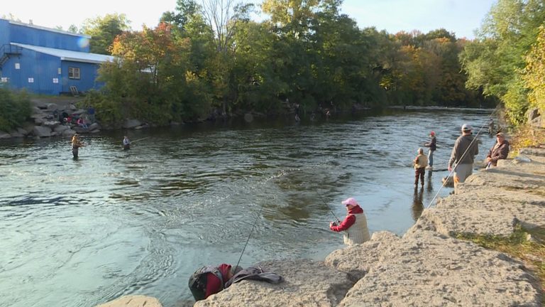 Lower Salmon River Fly Fishing Stretch Reopens After Hatchery Delay