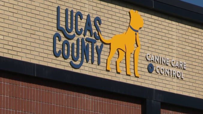 Lucas County Canine Care Proposes 630K Budget Cuts While Preserving Key Services