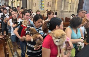 Malate Church Blesses Pets In Annual St Francis Celebration