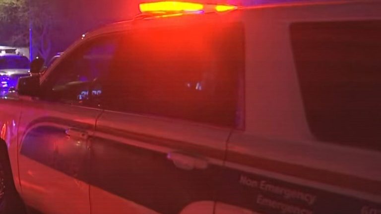 Man Dies After Stepping Into Traffic On 75Th Ave And Lower Buckeye Rd In West Ph
