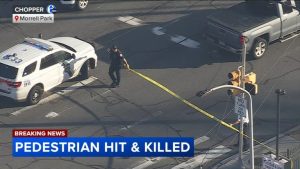 Man Killed After Being Struck By Vehicle On Frankford Avenue In Morrell Park