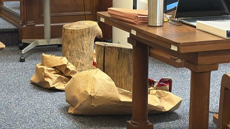 Manitowoc Trial Presents Heavy Log Punishment Evidence In Ethan Hauschultz Case