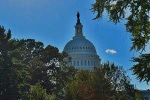 Maryland Latino Republicans Split Over Trump Immigration Enforcement Ahead Of Mi