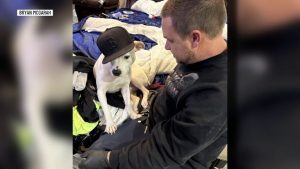 Memphis Resident Sues Mlgw After Utility Worker Fatally Shoots His Dog